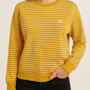 دورس راه راه پاپیون